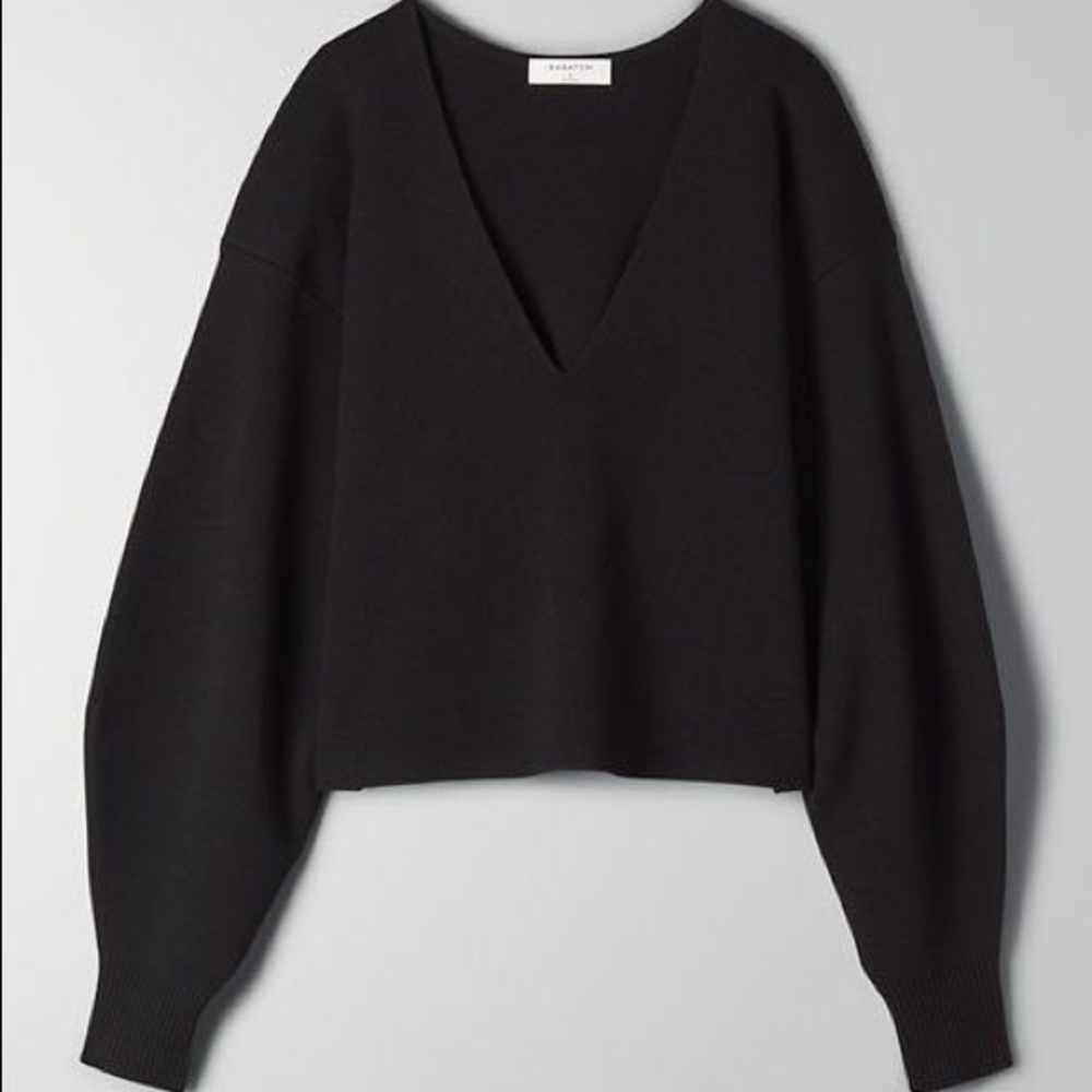 Aritzia Babaton Wren Sweater